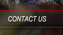 Contact Us! 